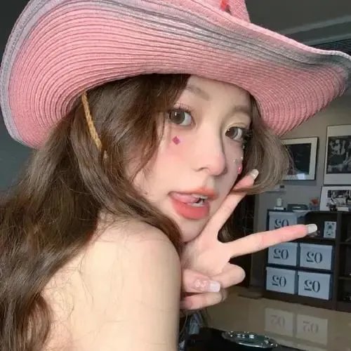 哈兰·科本的庇护所